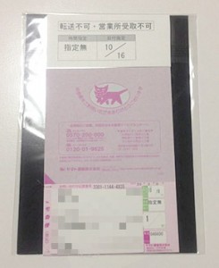 2_iijmio_bicsim_pac2-g.jpg