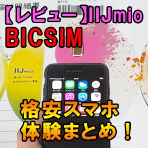IIJ BIC SIM 格安スマホ体験まとめ！