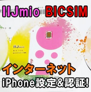 IIJ BICSIM インターネット設定認証編