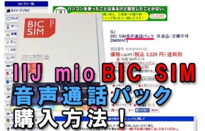 T__how_to_buy_iij_bigsim.jpg