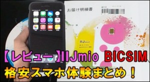 T_iijmio_bicsim_iphone_exp.jpg