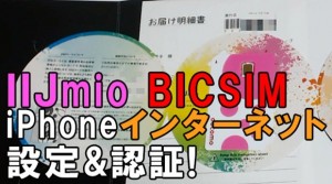 T_iijmio_bicsim_iphone_install_thumb.jpg