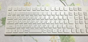11_usbkeybord_BSKBU04WH_typing_abc.jpg