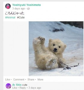 sirokuma_koguma_slip.jpg