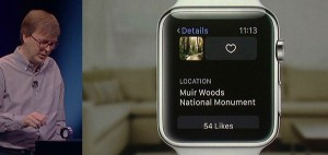 applewatch-photo-info-check.jpg