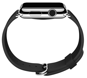 applewatch-classicbuckle-ico.png