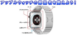 applewatch-parts-name-t.jpg
