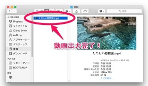 imovie-output-5.jpg