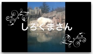 imovie-output-61.jpg