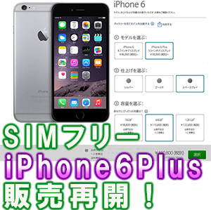 販売再開 Iphone 6 Plus Simフリー版 おすすめ格安sim 日本アップルオンラインストアー購入方法 Neoノマド家族