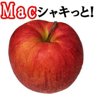 【特集!】Macでたのしい生活！