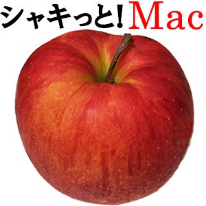 【特集!】Macでたのしい生活！