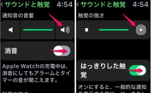 apple-watch-sound-touch-feel-2.jpg