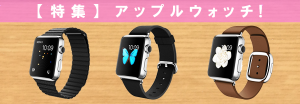 applewatch-matome-t2.png