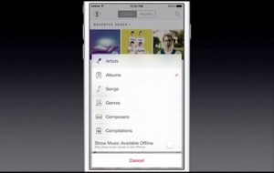 apple-music-124-21-play-style_thumb.jpg
