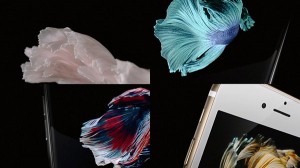14-iphone-6s-1st-view-1.jpg