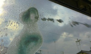22-glass-cleaner-put.jpg