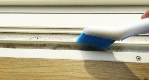 25-mizo-brush-clean.jpg