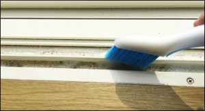 25-mizo-brush-clean_thumb.jpg