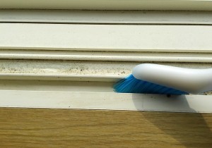 27-mizo-brush-clean.jpg