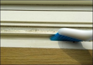 27-mizo-brush-clean_thumb.jpg