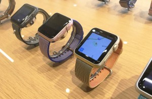 3-woven-nylon-band-gold-royal-blue.jpg