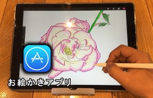 picture-apps-ipad-pro-12.9-apple-pencil.jpg