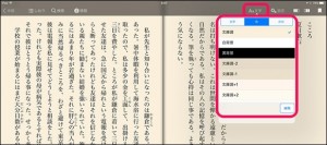 6-ibunkohd-color_thumb.jpg