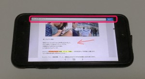 6-pdf-expart5-iphone-search.jpg