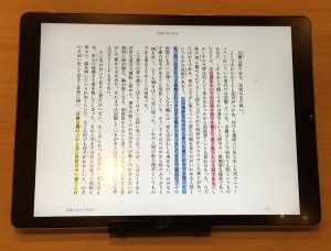 10-ipad-pro-novel.jpg