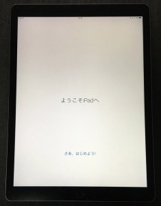 13-ipad-pro-starting.jpg