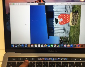40-macbookpro-touchbar-photo-rotate.jpg