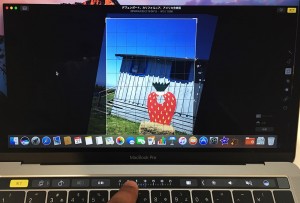 42-macbookpro-touchbar-photo-rotate.jpg