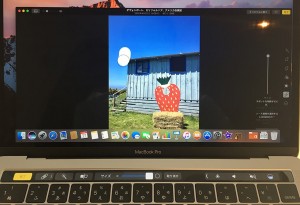 46-macbookpro-touchbar-photo-spot.jpg