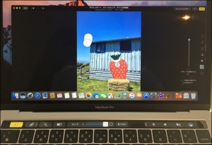 46-macbookpro-touchbar-photo-spot_thumb.jpg
