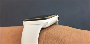 16_thumb.jpg