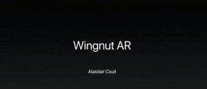 29-22-wingnut-ar.jpg