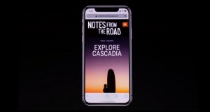 103-iphonex-safari.jpg