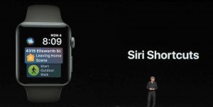 9-wwdc201806-applewatch-siri-shortcuts.jpg
