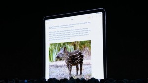 11-wwdc-2019-ipad-os-copy-and-paste.jpg