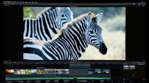 12-wwdc-2019-mac-pro-soft-power-demo2.jpg
