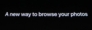 22-wwdc-2019-photo-iphone-xs-xr-brow1.jpg