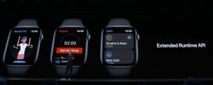 26-wwdc-2019-applewatch-os6-extended.jpg