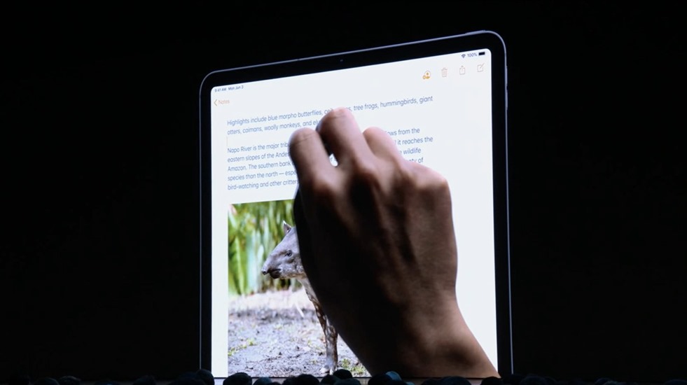 8-wwdc-2019-ipad-os-copy-and-paste