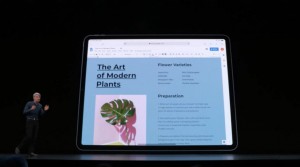 8-wwdc-2019-ipad-os-safari1.jpg